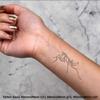 Azeeda 4 x 'Praying Mantis' Temporary Tattoos - Water Resistant, Skin-Safe, Non-Toxic Transfers, Mixed Sizes (TO00040181) view 2