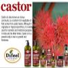 Difeel Castor Pro-Growth Conditioner 12 oz. view 4