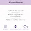 Curl Up Curl Nourishing Hair Oil -Light Oil for wavy and Curly hair,100ml view 3