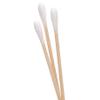 [25 PACK] Wooden Cotton Swabs (600 Count) - Biodegradable Cotton Buds, Dual Cotton Tipped Eco Friendly, Made with 100% Wood Great for Makeup, Ears, Cleaning view 3