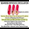 Solmo Sea Moss Gel 16oz (Superfood + Skin Care) 100 Wildcrafted. view 3