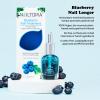 Nailtopia - Nail Treatment - Supports Short & Long Nails - Plant-Based, Non Toxic, Bio-Sourced, Strengthening & Conditioning Superfood Treatment - Blueberry Extract (Clear) - 0.41 oz view 2