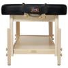 30" Harvey Tilt Stationary Massage Table Beauty Medical Tattoo Spa Salon Facial Clinical Treatment Aesthetic Physical Therapy Beds-Two Section Tilting Lift-Back Backrest - Black view 4