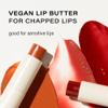 Melixir Vegan Lip Butter (12 Colors), Hydrating Tinted Lip Balm Stick, Bee-Free, Petrolatum-Free, Plant-Based, Moisturizes Dry & Chapped Lips With Shea Butter, Sheer, Natural Finish - #02 Nudy Rose view 2