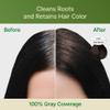 Red by Kiss Color Change Shampoo  Permanent Hair Color with 100% Gray Coverage, Quick 7-10 Minute Formula, No Tools Needed, Herbal Extracts, Includes 3 Shampoo Pouches (Dark Brown, 3 Pack) view 2