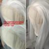 BLUPLE Long Straight Lace Front Wigs #1001 Platinum White Natural Heat Resistant Synthetic Hair Half Hand Tied Wigs for Cosplay Daily Wear (22 inches, Straight,White) view 2