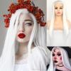 BLUPLE Long Straight Lace Front Wigs #1001 Platinum White Natural Heat Resistant Synthetic Hair Half Hand Tied Wigs for Cosplay Daily Wear (22 inches, Straight,White) view 4