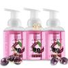 LOVERY Foaming Hand Soap-Packof 3-Moisturizing Hand Soap with AloeVera & Essential Oils-Alcohol-Free Hand Wash in Honey Almond, PomegranatePeach, Lavender Jasmine Scent-Free Bracelet view 1