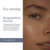 Intelligent Nutrients Re:generative Eye Gel for Dark Circles and Puffiness, Targeted Treatment With Plant Actives to Brighten, Refresh and Protect, Vegan, 0.5 Oz view 2