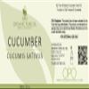 Cucumber Seed Oil 100% Pure Unrefined Cold Pressed Non GMO Vegan Bulk Carrier Oil for Face Skin Hair Body DIY Soap Making - 32 oz 1 Quart - Soothing Softens Hydrating Nourishing Skin Rejuvenating- OPO view 2