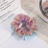 18pcs Gradient Hair Ring Metallic Hair Ties Gradient Hair Scrunchies Girl Scrunchies Candy Color Scrunchie Gradient Hair Ropes Elastic Hair Ties Christmas Woman Mermaid view 4
