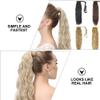 SOLUSTRE 1pc High-temperature Matte Curly Wig Ponytail Hairpiece for Women Comfortable Fit for Everyday Use and Special Occasions view 2