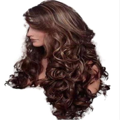 Andongnywell Long Lace Front Wave Wigs Wigs Human Hair Hair Density Wigs for Black Women Natural Color (Brown,One Size)