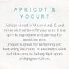 Seed+Clay Exfoliating Face Scrub Dry Skin Facial Cleansing Clarifying Nourishing Apricot and Yogurt - 5.92 fl oz view 4