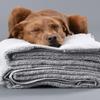 Delilah Home 100% Organic Turkish Cotton Face Towels Set, 700 GSM Luxury Spa & Hotel Quality, Soft and Absorbent Small Face Towel 2 Pieces Set - 13x13 (White) view 2