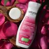 Weleda Pampering Wild Rose Body Lotion, Plant Rich Moisturizer with Wild Rose Oil, Jojoba Oil and Shea Butter, 6.8 Fl Oz (Pack of 1) view 3