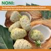 Kingfisher's Noni Body Balm Set  Hydrating & Moisturizing Cream with Noni Oil & Camellia Butter, Gentle Care Balm, 2-Pack x 10g view 3