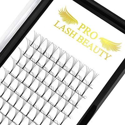 Premade Volume Eyelash Extensions 3D-D-0.07-9-16mix Long Stem Premade Fans Eyelash Extensions .07 .10 Premade Volume Fans Volume Lash Extensions C D Curl(3D-C-0.07,9-16 mix)