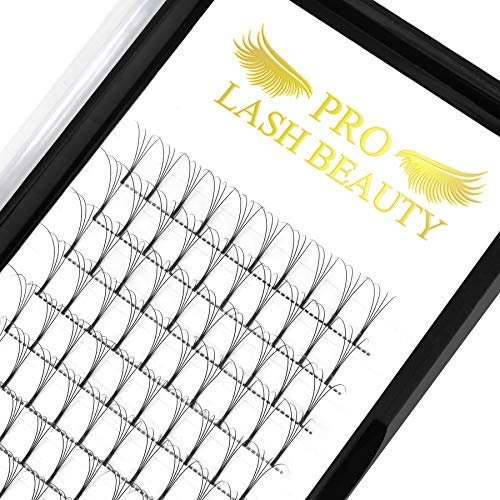 Premade Volume Eyelash Extensions 3D-D-0.07-9-16mix Long Stem Premade Fans Eyelash Extensions .07 .10 Premade Volume Fans Volume Lash Extensions C D Curl(3D-C-0.07,9-16 mix)