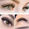 Premade Volume Eyelash Extensions 3D-D-0.07-9-16mix Long Stem Premade Fans Eyelash Extensions .07 .10 Premade Volume Fans Volume Lash Extensions C D Curl(3D-C-0.07,9-16 mix) view 3