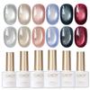 GAOY Holographic Glitter Cat Eye Gel Polish Set of 6 Colors view 1