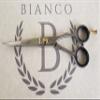 7" Hairdressing Shears Stainless Steel Made in the USA. view 2