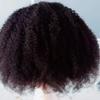 Afro Wig Kinky Curly Short Human Hair T-Part Lace Front Wigs for Black Women, 180% Density African Fancy Fluffy Bouncy Soft Premium for Party or Daily(Natural Black, 8-20inch/20-50cm) view 4