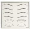 Practice Skin - Shapes of Eyebrows and Lips view 1