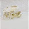A&C Quinceaeras and more Wedding Bouquet Wedding Lasso Wedding Hair Piece 3500 (Ivory Gold) view 1