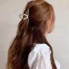 Brinie Hair Claw Clips Gold Metal Clips Claw Large Hair Clip for Thick Thin Hair Hair Accessories for Women and Girls (2PCS) view 3