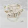 A&C Quinceaeras and more Wedding Bouquet Wedding Lasso Wedding Hair Piece 3500 (White) view 4