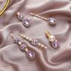 Uonlytech Rhinestone Hair Clips 5Pcs Fashionable Hair Fixing Clips Elegant Accessories for Women Girls Party Daily Styling view 4