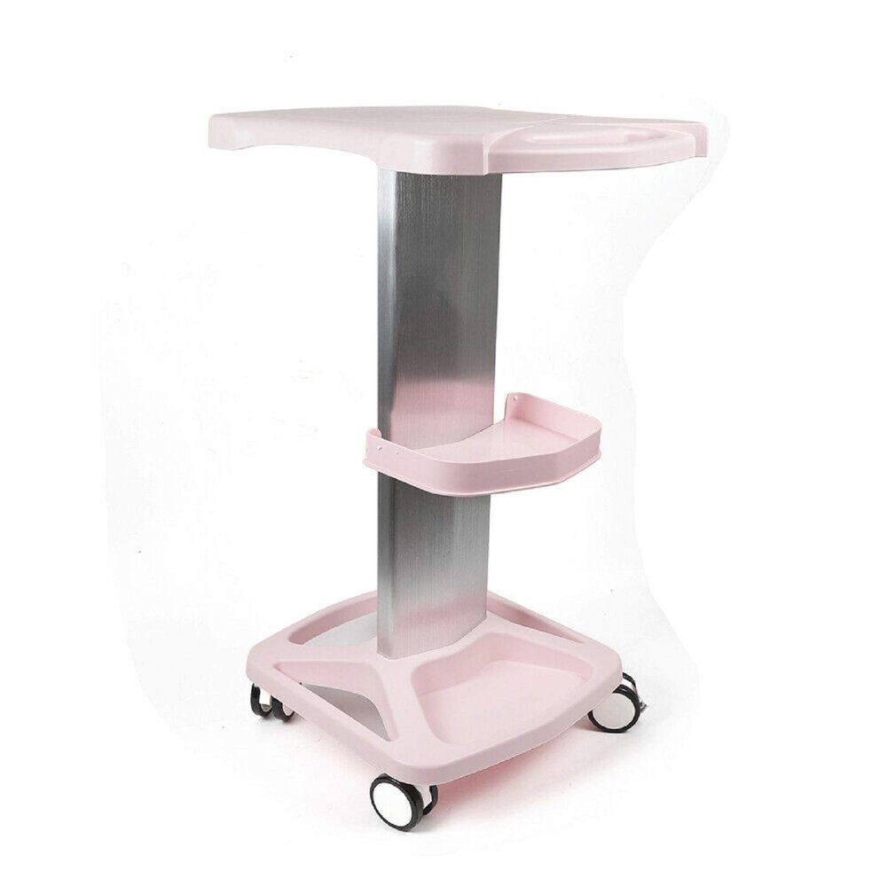 Aluminum Alloy Salon Hair Instrument Tray Beauty Salon Trolley Cart Aluminum Rolling Salon Trolley Holder 4 Wheels Stand Salon Instrutment Storage Cart 360 Rotation (Aluminum + ABS)