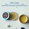 Blue Nectar Natural Lip Balm Chocolate & Vanilla with Organic Ghee for Dry Lips | Herbal Ayurvedic Hydrating Lip Gloss for Women (0.35 oz, 12 Herbs) view 2