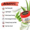 EBIN NEW YORK Braid Formula Conditioning Gel, Medium Hold, 6.35oz | Great for Braiding, Twisting, Edges, No Residue, No Flaking, Strong Hold, High Shine, Smoothing with Clean & Aloe Vera Scent view 4