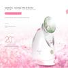 Anncus Christmas Gift Facial Evaporator Nanometer Sprayer Steaming Surface Heat Spray Steam Machine Avocado Green Steamer view 3