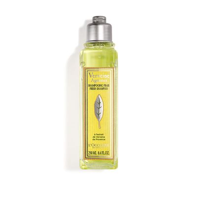 L'OCCITANE Citrus Verbena Fresh Shampoo 8.40 fl oz