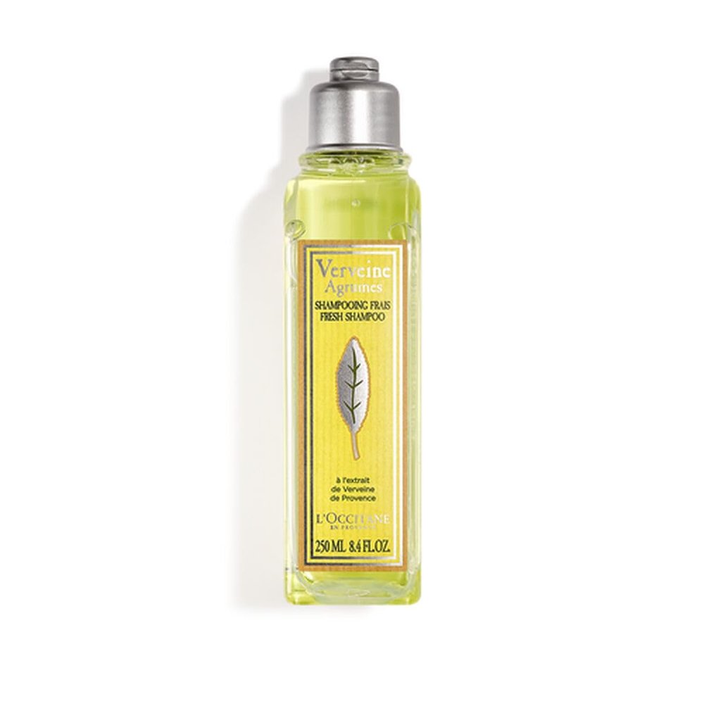 L'OCCITANE Citrus Verbena Fresh Shampoo 8.40 fl oz