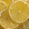 L'OCCITANE Citrus Verbena Fresh Shampoo 8.40 fl oz view 3