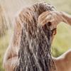 L'OCCITANE Citrus Verbena Fresh Shampoo 8.40 fl oz view 4