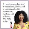 Camille Rose Mint Condition Braid and Scalp Spray, with Aloe Vera and Sea Moss to Hydrate, Reduce Breakage, and Nourish the Scalp, 8 fl oz view 2