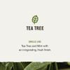 Every Man Jack Tea Tree Mens Thickening 2-in-1 Shampoo + Conditioner - Restore Thickness, Cleanse, and Condition - Made with Naturally Derived Ingredients - Paraben Free, Dye Free view 3