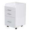 Milan Pedicure Trolley Pedi Rolling Cart Nail Salon Spa Storage Drawer, White/Ash Grey view 1