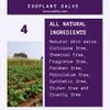 Eggplant Salve 2 oz. Skin Salve view 4
