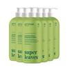 ATTITUDE Nourishing Hair Shampoo, EWG Verified, For Dry and Damaged Hair, Naturally Derived Ingredients, Vegan and Plant Based, Grapeseed Oil and Olive Leaves, 32 Fl Oz (Pack of 6) view 1