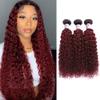 Ombre Dark Red Curly Weave Human Hair 3 Bundles 99J Brazilian Curly Hair 100g/Bundles Burgundy Kinky Curly Human Hair Extensions for Black Women (18"20"22") view 1