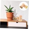 2pcs Dish Brush Practical Kitchen Brush Multipurpose Kitchen Supplies Scrub Palm Cleaning view 3