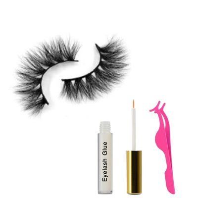 Eyelash Kit, Eyelash beginner bundle, Eyelash glue set Eyelash Strip Lash Reusable