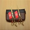 Hair Cutting Scissors, 2Pcs 6'' 17.5cm Golden 440C Professional Human Hair Scissors Hairdressing Shears Cutting + Thinning Shears Dragon Carving Z9005 BY KKZY (Color : 2Pcs Add Case) view 1