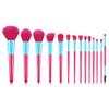 MIPPER 14 Pcs Candy Color Makeup Brushes Set Pro Eye Shadow Eyelash Concealer Powder Foundation Blending Cosmetic Brush Kit (rose red+blue) view 1